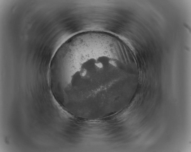 X0000091201295200708231522