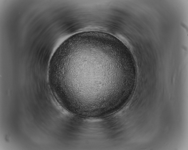 X0000091201296200708231522