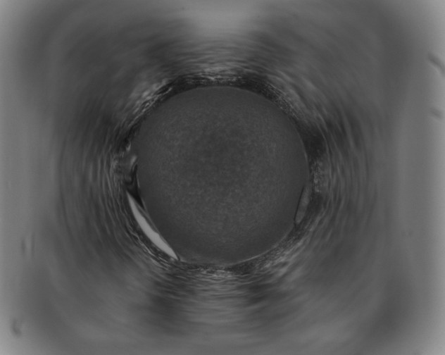 X0000091201298200708231521