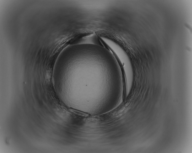 X0000091201300200708231521