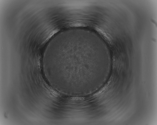 X0000091201305200708231521