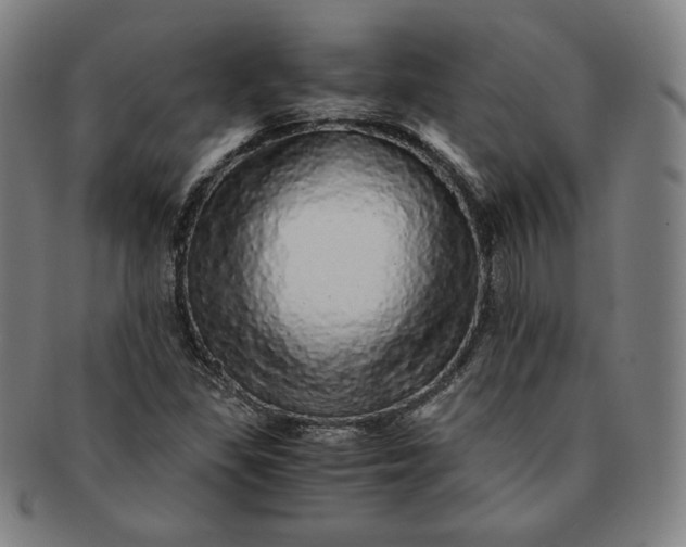 X0000091201309200708231521