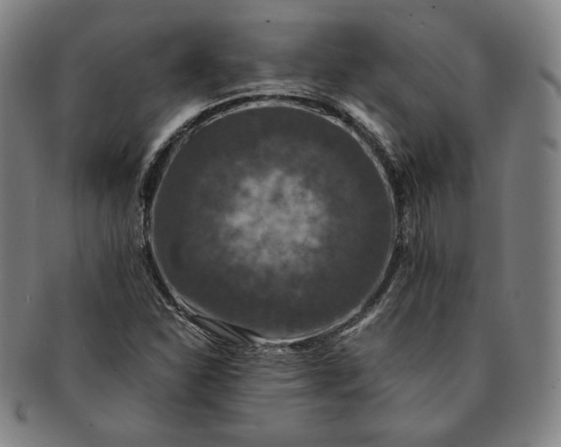 X0000091201310200708231521