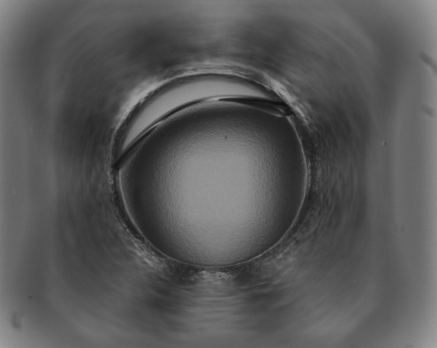 X0000091201312200708231521