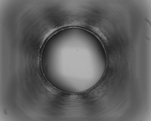X0000091201316200708231521