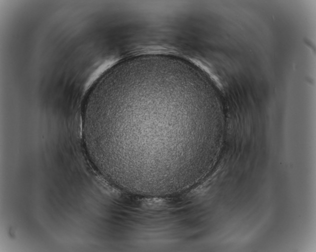 X0000091201317200708231521