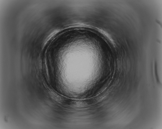 X0000091201318200708231521