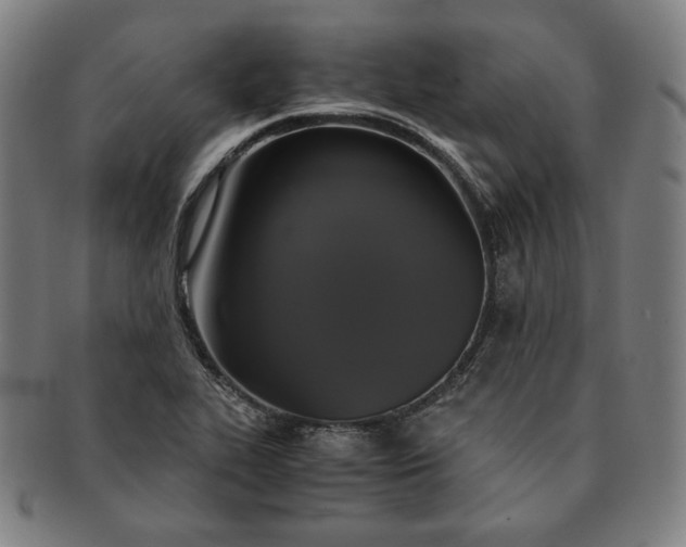X0000091201319200708231521