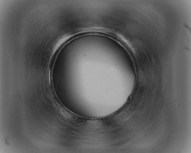 X0000091201320200708231521