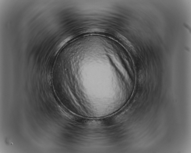 X0000091201321200708231521