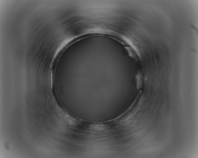 X0000091201323200708231521