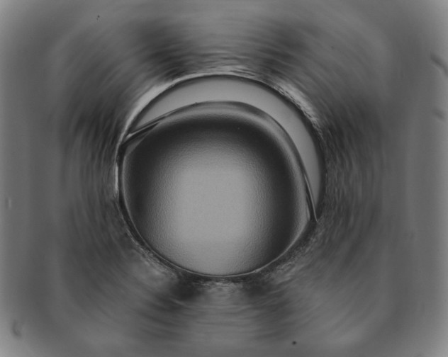 X0000091201324200708231521
