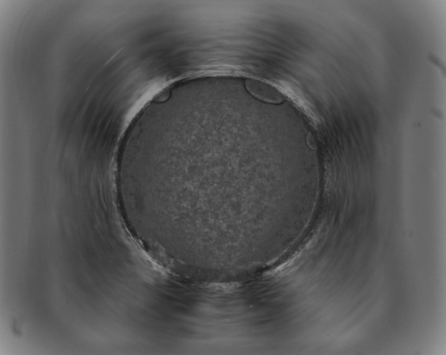 X0000091201325200708231521