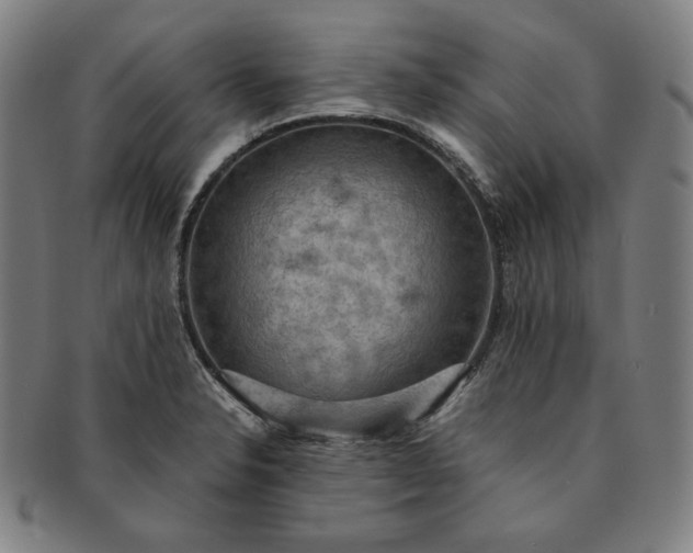 X0000091201326200708231521