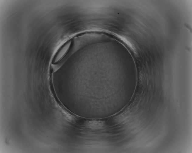 X0000091201327200708231522