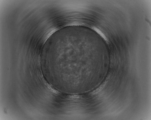 X0000091201329200708231522