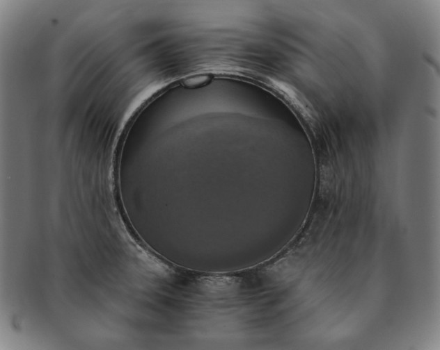 X0000091201331200708231522