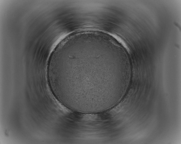 X0000091201333200708231522