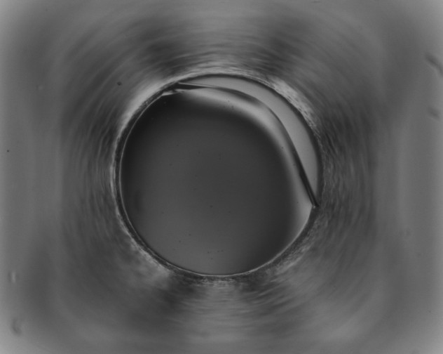 X0000091201334200708231522