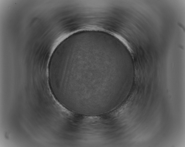 X0000091201335200708231522