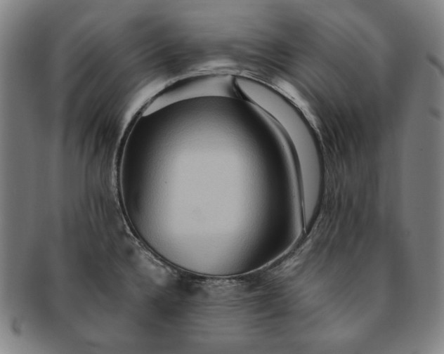 X0000091201336200708231522
