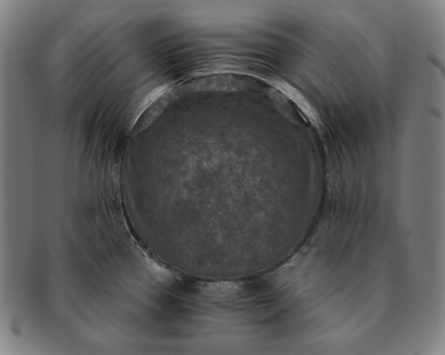 X0000091201337200708231522