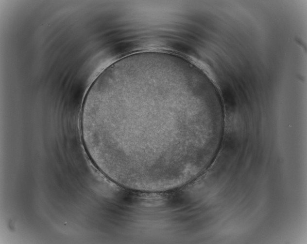 X0000091201338200708231522