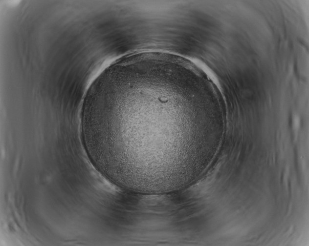 X0000091201341200708231522