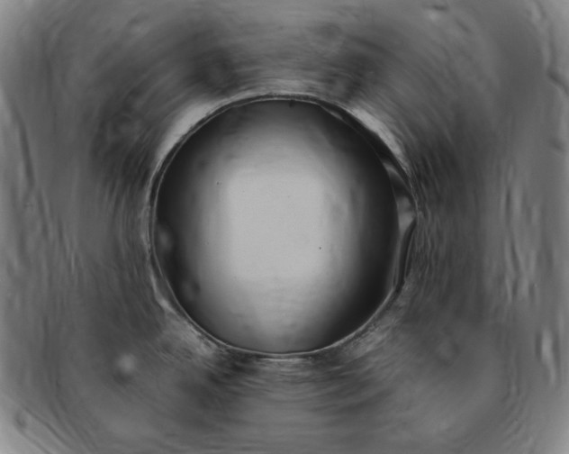 X0000091201342200708231522