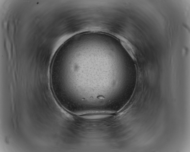 X0000091201343200708231522