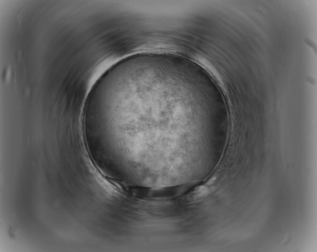 X0000091201344200708231522