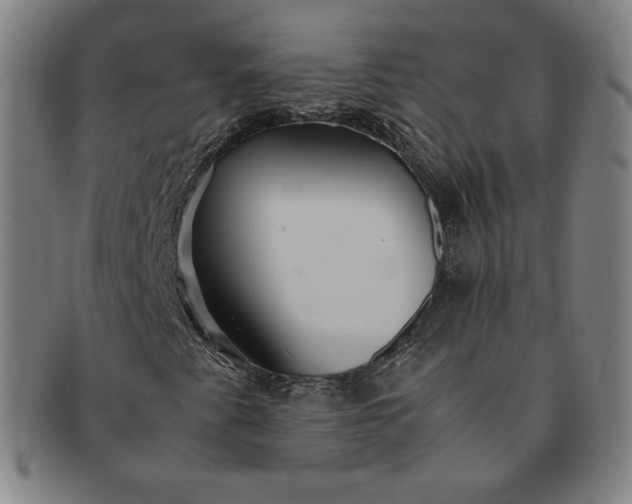 X0000091201345200708231521