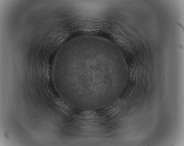 X0000091201346200708231521