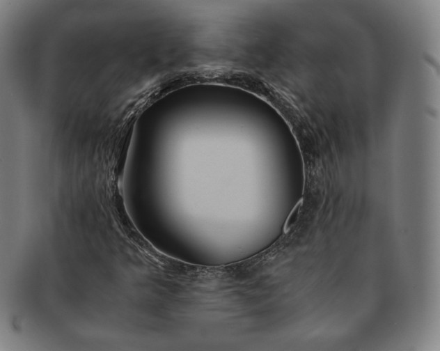 X0000091201349200708231521