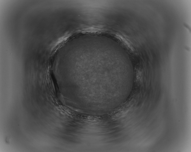 X0000091201350200708231521