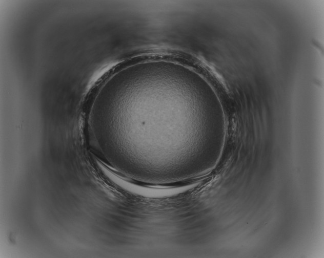 X0000091201352200708231521