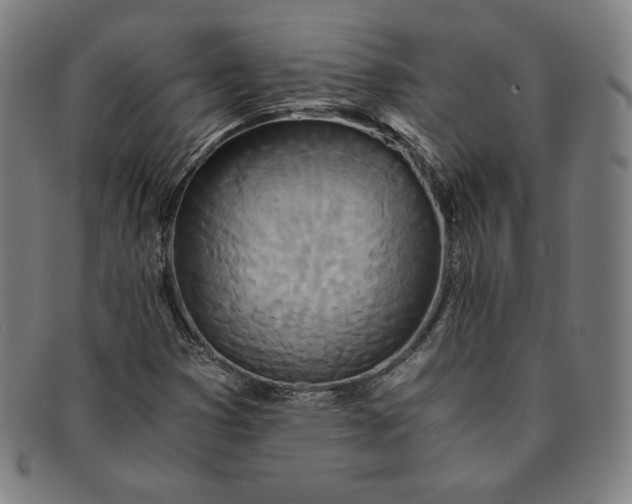 X0000091201353200708231521
