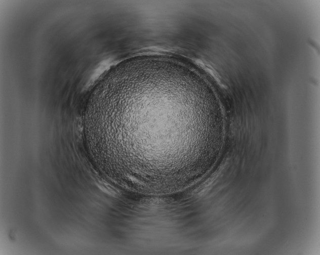 X0000091201355200708231521