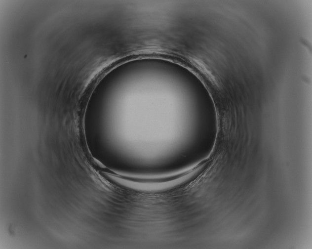 X0000091201356200708231521