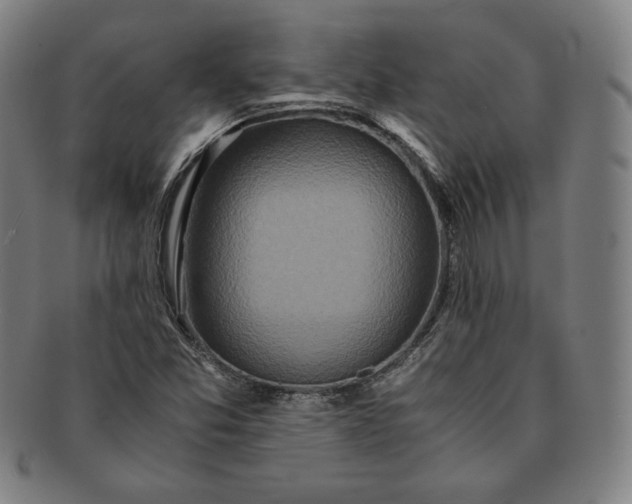 X0000091201357200708231521