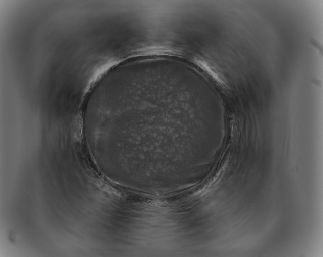 X0000091201358200708231521
