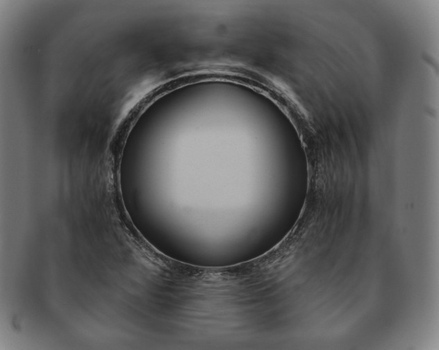 X0000091201360200708231521