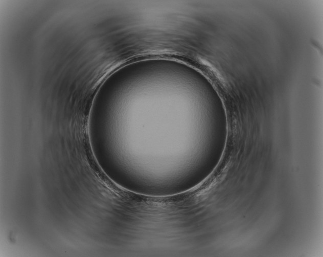 X0000091201361200708231521