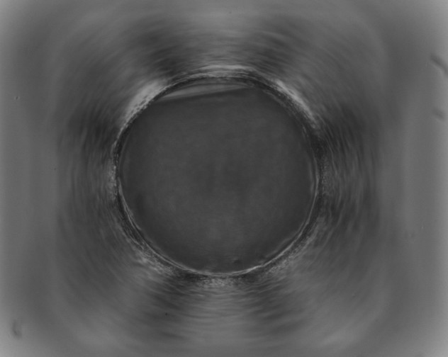 X0000091201362200708231521