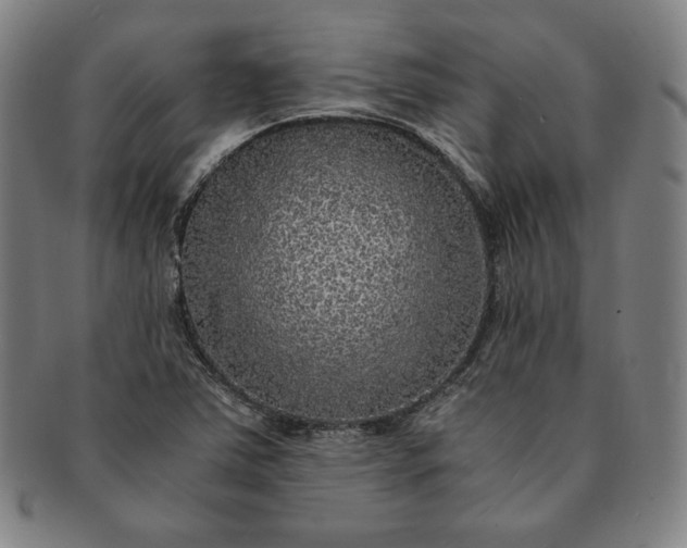 X0000091201363200708231521