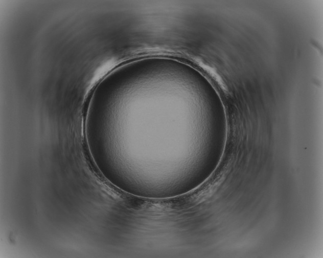X0000091201365200708231521