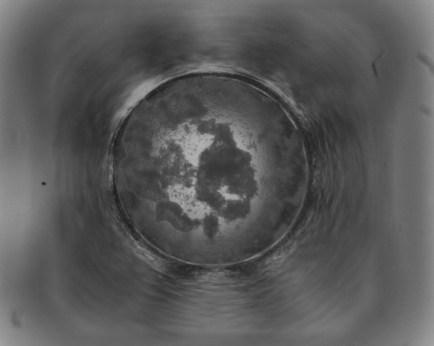 X0000091201367200708231521