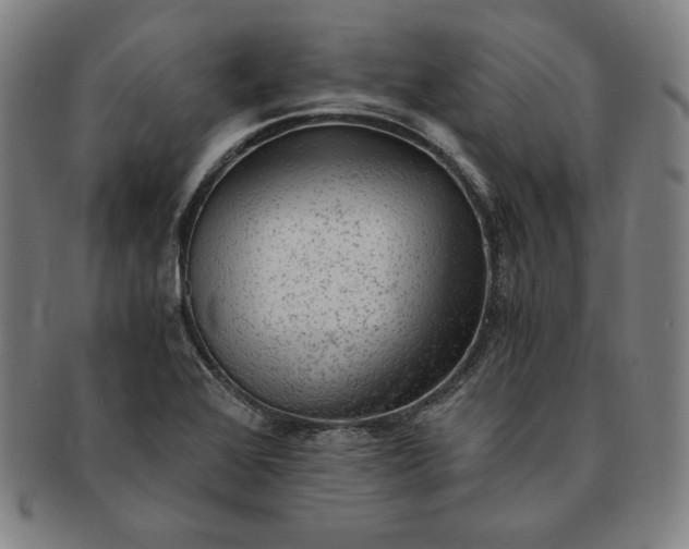 X0000091201368200708231521