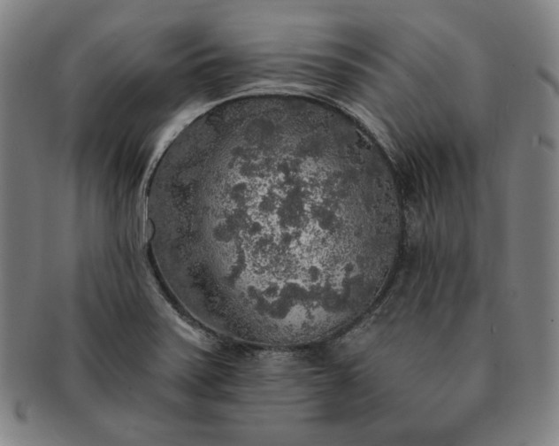 X0000091201371200708231521