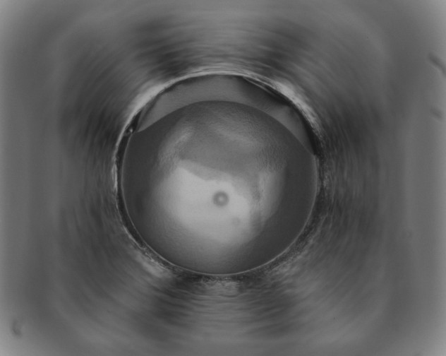 X0000091201372200708231521